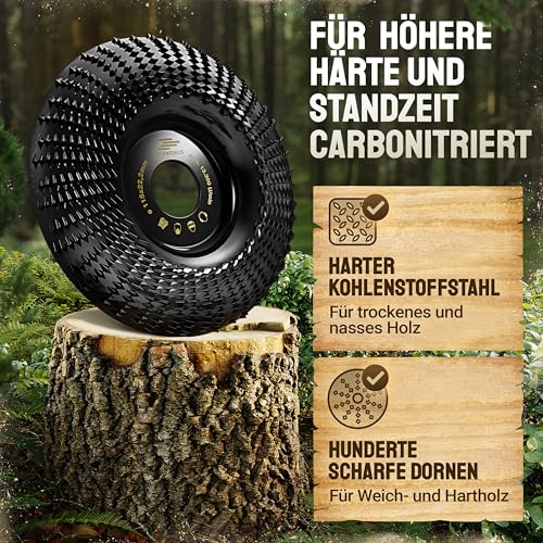 Adlerfokus Holz Schleifscheibe 115mm Winkelschleifer [EXTRA SCHARF] Flexscheibe für Holz - Wurzelfräse - Lackfräse - Baumstumpffräse - Raspelscheibe - Schleifen mit einer Flex Schleifscheibe