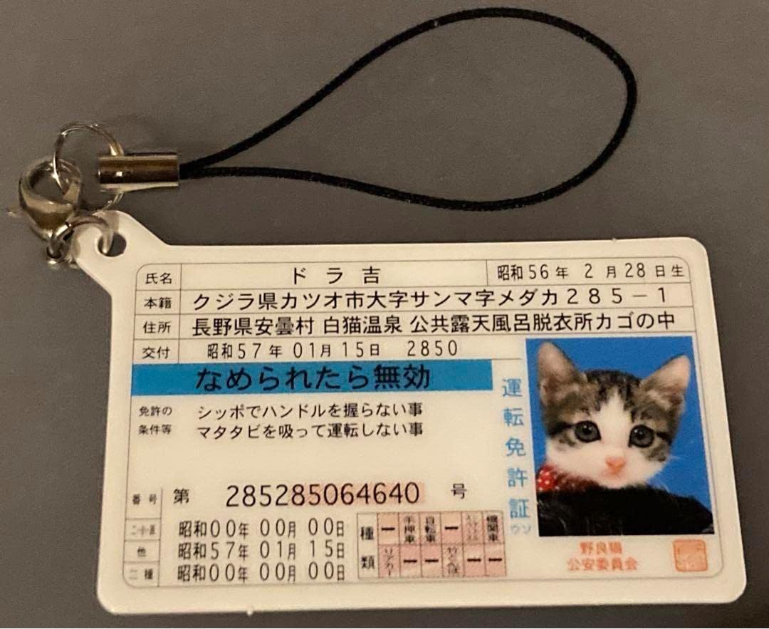 元祖なめ猫 なめんなよ なめねこ レトロ 免許証ストラップその⑭
