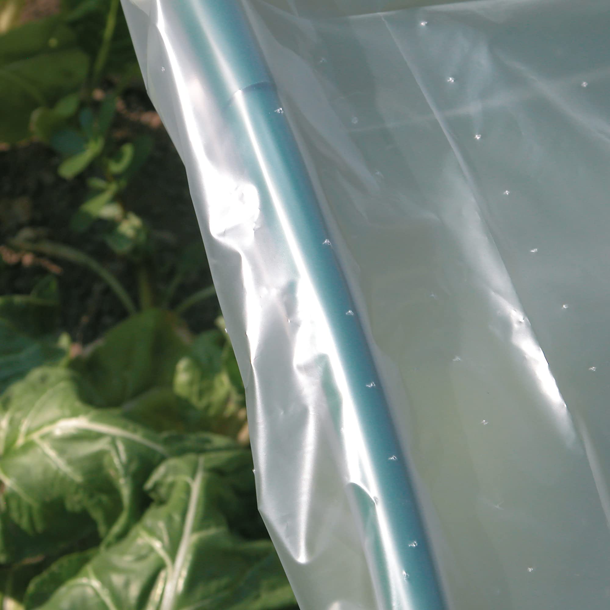 TENAX Dot Film 2,00x10 m Film de Forçage Micro-perforé Transparent Protection Cultures Légumes Plantes Jardin