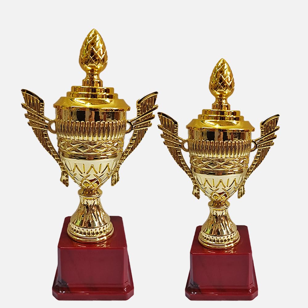 Bareeze Pure Gold Premium Trophy Cup for Sport, Event, Ceremony, Art Appreciation Gift, Sports, Academy