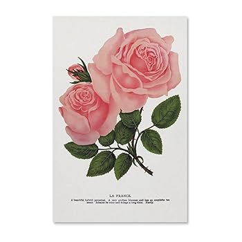 絵画　薔薇　インテリア　イラスト 0_ff61e299b43da93b1538e66a0bee