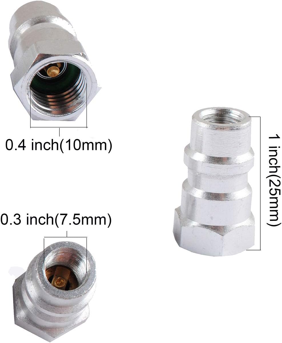 Wadoy R12 to R134a Retrofit Kit for A/C Pro Refrigerant, R12 to R134a Conversion Kit, R12 to R134a Adapter Kit (2 Set) : Automotive