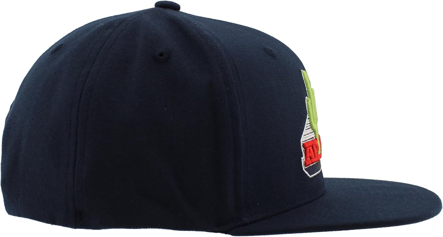 ZHATS NCAA Unisex-Adult NCAA Officially Licensed Adjustable Hat Z11 Vault - Image 7