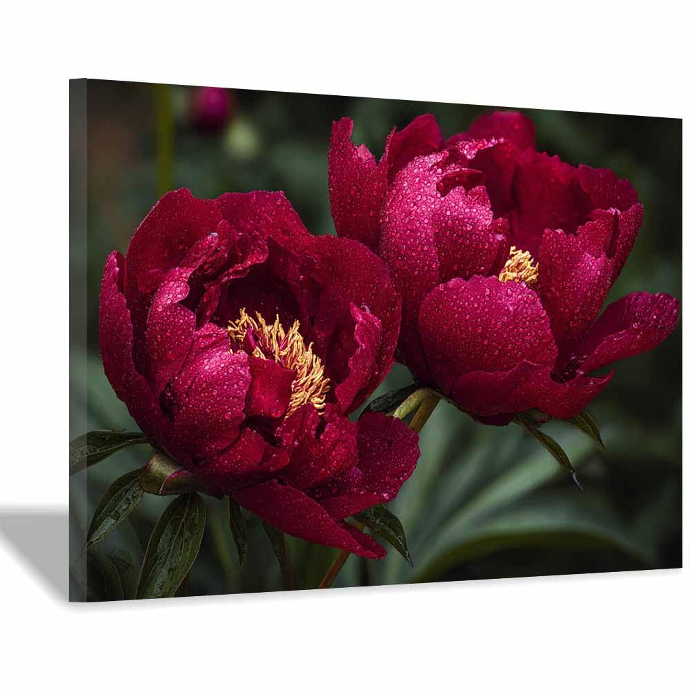 ZAMAEIU Nature Landscape Canvas Wall Art Double Peonies posters picture, Modern Wall Decor, for Bedroom, Office, Living Room, Corridor, classroom(red)-50x70cm Framed