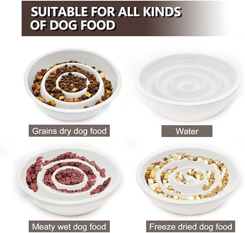 Miniatura 5 de GH - Cuenco de cerámica para perros de alimentación lenta, 3 tazas, 2 discos voladores para mascotas incluidos, color blanco