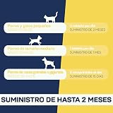 Ver la foto 5