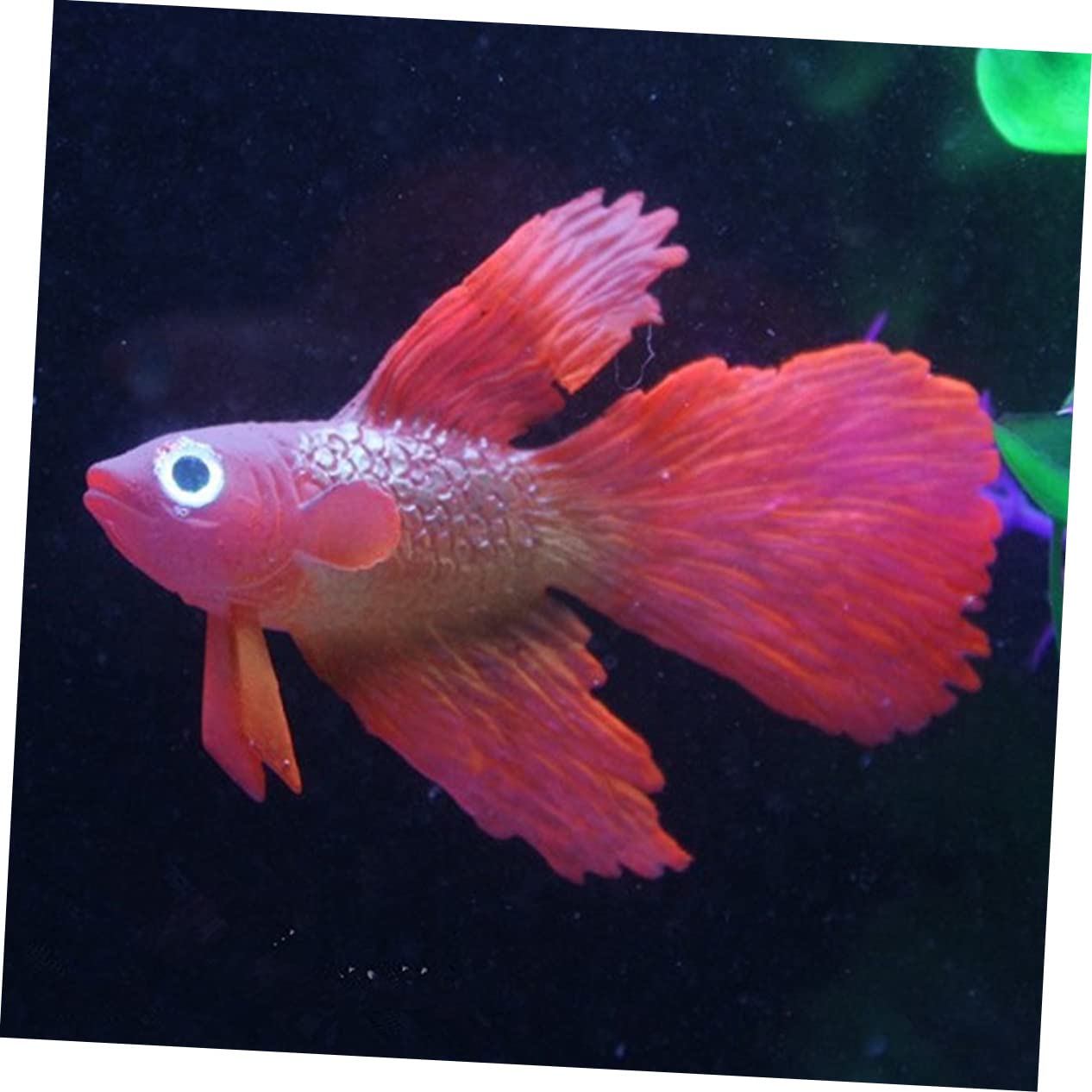 Betta Vis Speelgoed | 2-Delig Zuig Aquarium Accessoires