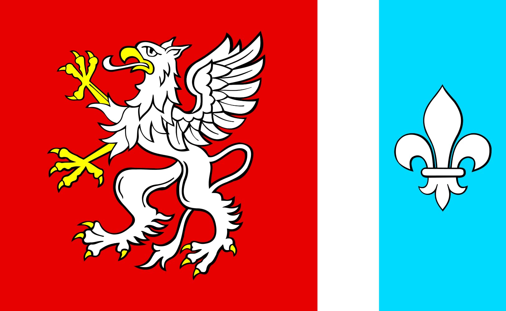 Drapeau Large POL powiat dębicki anti-enroulement pour mât exposé au vent
