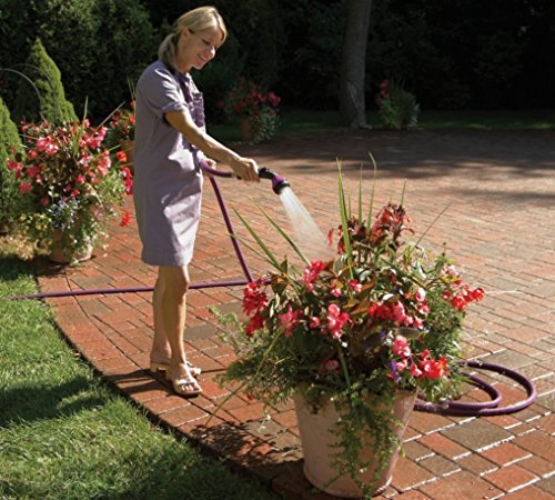 Dramm One Touch Shower and Stream Telescoping Water Wand