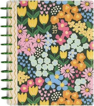 Happy Planner Disc-Bound 12-Month July 2026June 2027 Planner with 3 Extra Months, Big Size, 8.5" x 11", Teacher Layout, Ditzy Garden