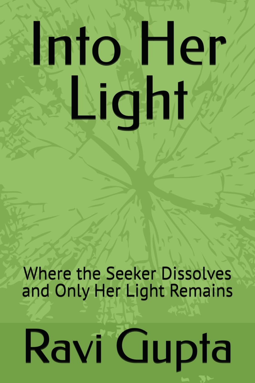 Into Her Light: Where the Seeker Dissolves and Only Her Light Remains
