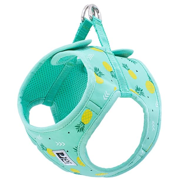 RC Pet Products Cirque Soft Walking - Arnés para Perro, Desfile de piña, Talla XS