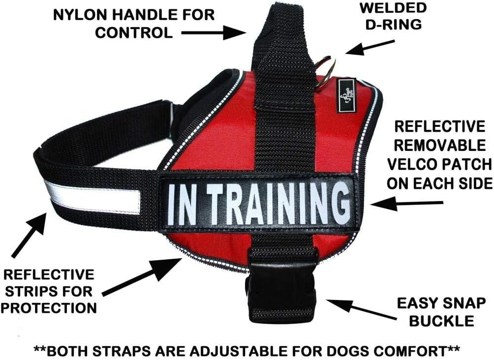 Doggie Stylz in Training Service Dog Harness with Removable Saddle Bag Backpack Pack Carrier Traveling Carrying Bag. 2 Removable in Training Patches. Please Measure Dog Before Ordering. Made