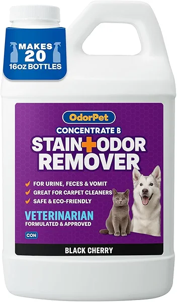 OdorPet Pet Stain Remover and Odor Eliminator - 64 Oz (Makes 2.55 Gallons of Working Solution) Non Staining, Professional Strength, Black Cherry Scent by Alpha Tech Pet