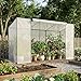 SUNYRISY Tomaten Gewächshaus Klein Foliengewächshaus 300x100x170 cm, Tomatenhaus Tomatenzelt mit Tomatendach, Greenhouse mit Rollentür und Windschutzseil für Balkon Outdoor, Weiß