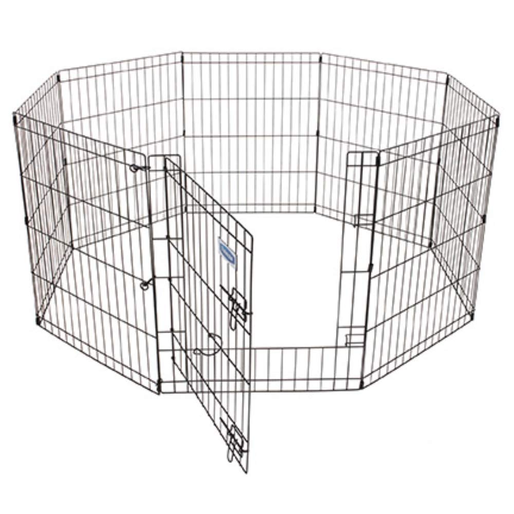 Lucky Dog 48in X 24in Black Steel Indoor/Outdoor Exercise Pen In The
