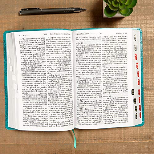 KJV Large Print Personal Size Reference Bible, Teal Leathertouch Indexed: King James Verion, Teal Le