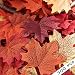 300 Assorted Mixed Fall Colored Artificial Maple Leaves for Weddings, Events and Decorating