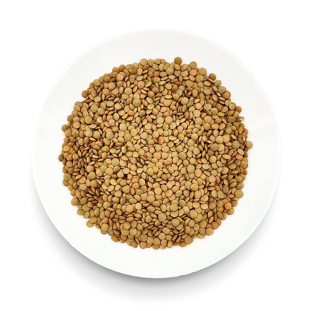 Oltresole, Lentilles vertes biologiques 5 Kg, Légumineuses entières biologiques séchées, source de protéines et de fibres, riches en fibres et en sels minéraux, format pratique