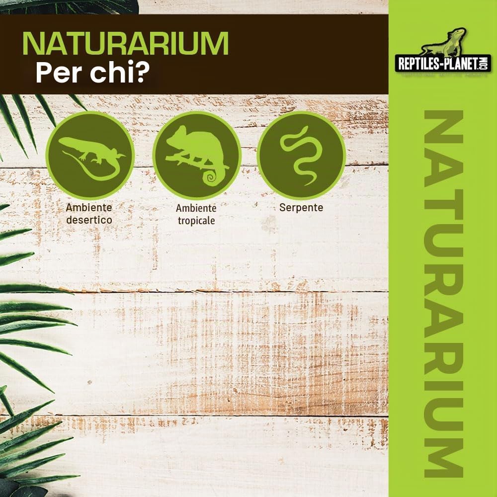 Reptiles Planet Terrarium Naturarium M 75 x 45 x 75 cm