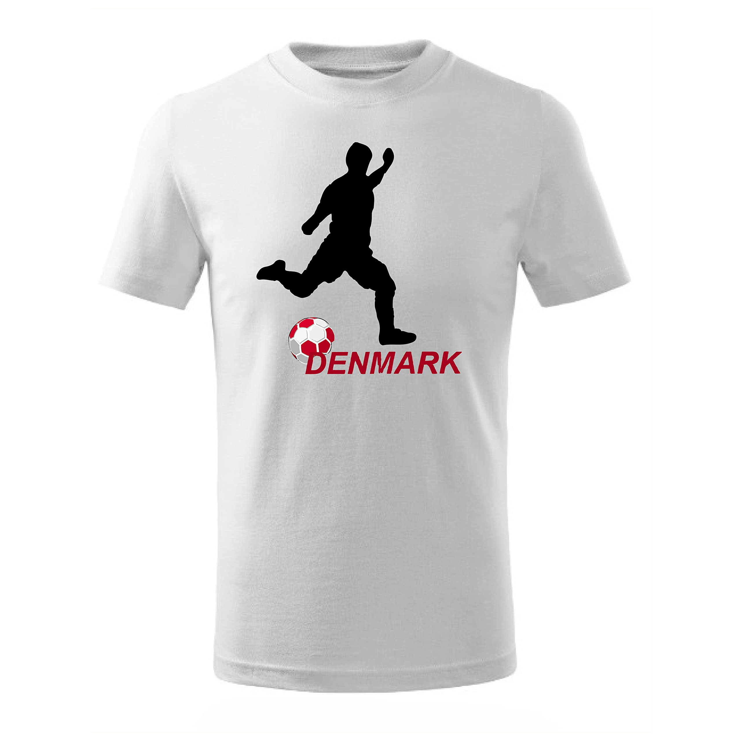 Denmark Football Team World Fans printed T shirts Supporting The Team Football Team Jersey T shirts For Men | Women | Kids to win the cup