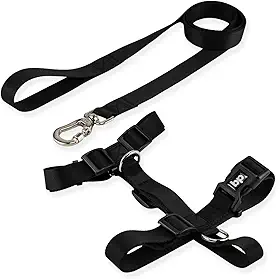 Basic Pet Coleira Peitoral Com Guia Para Cachorro Cães Modelo Tradicional H Tamanho Porte Grande Médio Pequeno (G, Preto)