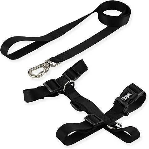 Basic Pet Coleira Peitoral Com Guia, Modelo Tradicional H, Porte Grande, Médio e Pequeno (G, Preto)