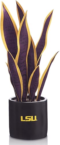 Regalos universitarios para mujeres, plantas artificiales, decoración de cuevas de hombre, plantas sintéticas universitarias, regalos universitarios