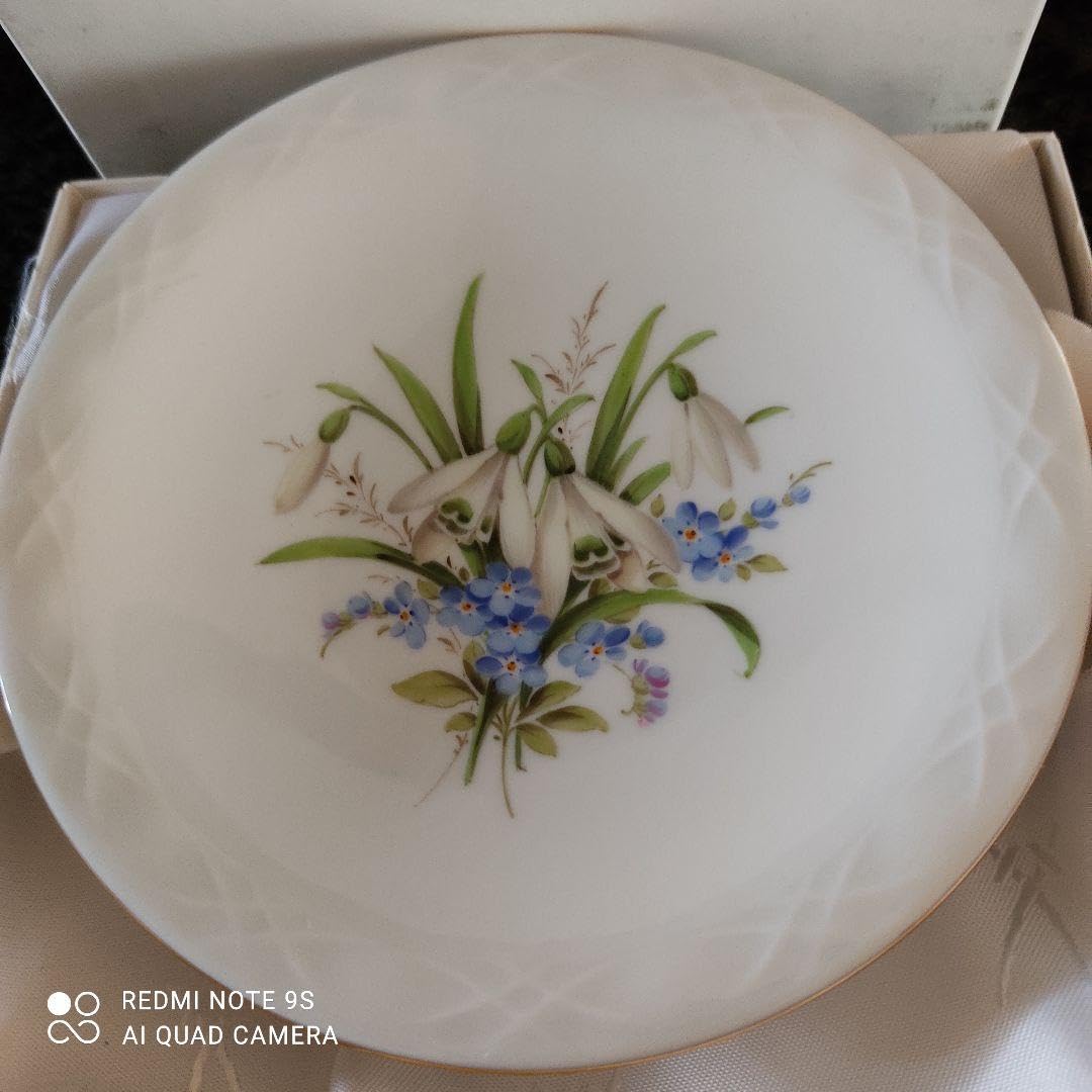 マイセン　壁掛けプレート　絵皿　ハナ№8 Amazon.co.jp: マイセン 壁掛けプレート 絵皿 ハナ№8 : ホーム