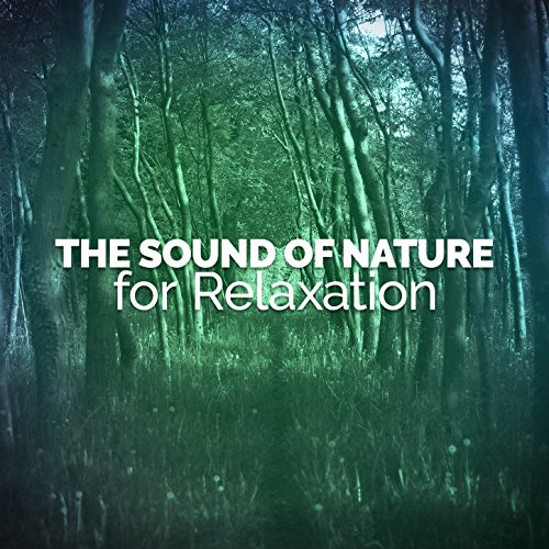 The Sound of Nature for Relaxation by Healing Sounds for Deep Sleep and