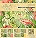 Graphic 45 Lost in Paradise 12x12 Collection Pack Craft Paper, Multi