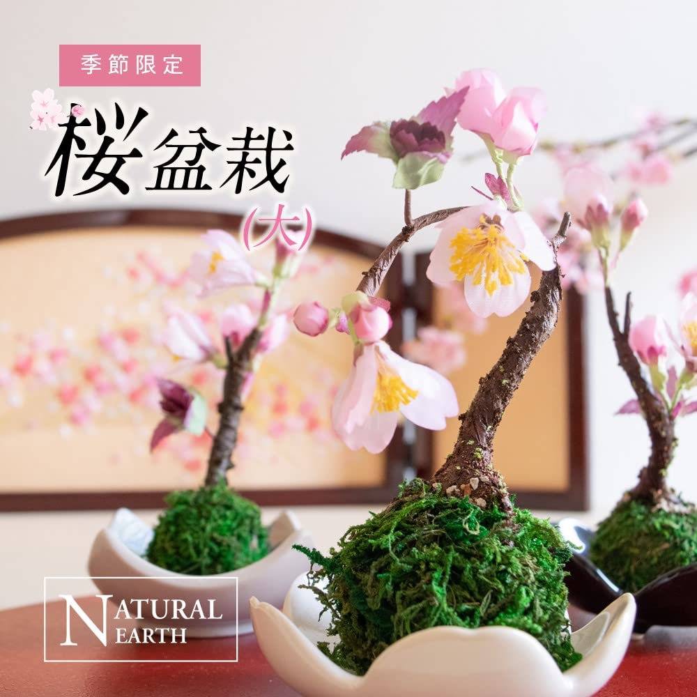 Amazon｜さくら盆栽 大 苔玉 かわいい sakura 桜 盆栽 アートフラワー