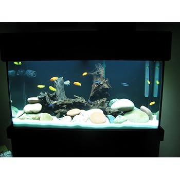 aquaman aquarium decoration