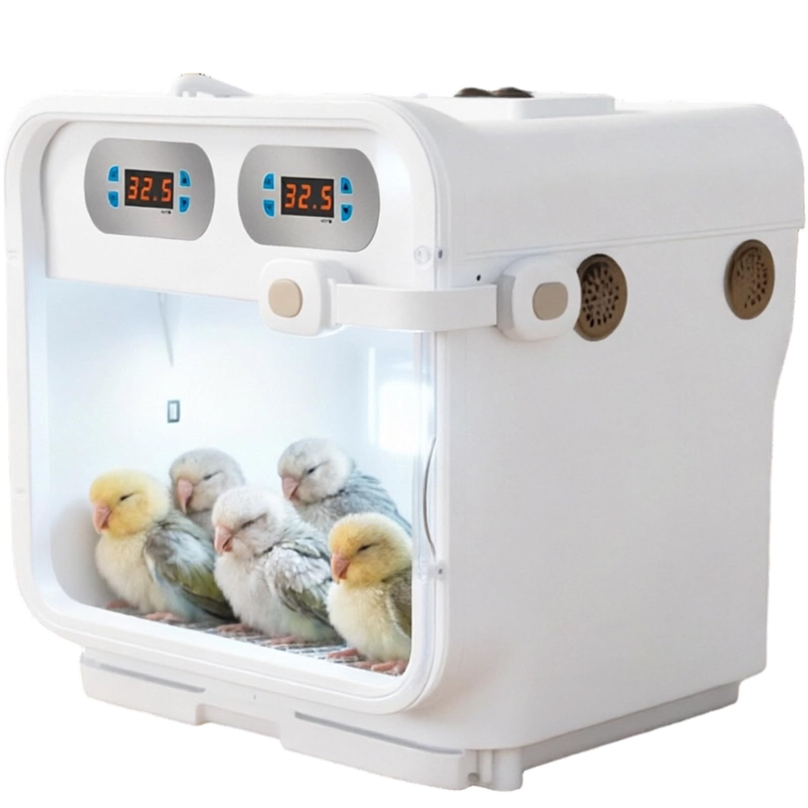 Incubadora Pajareras, Caja De PáJaros, Bird Incubator Box Box Chick Warmer B