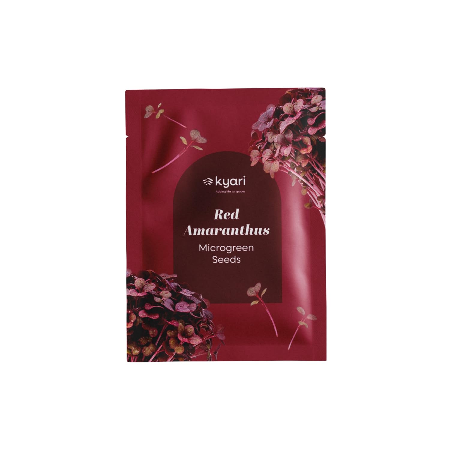 Kyari Red Amaranthus Microgreens Seeds – 85%+ Germination | Vibrant Red Indoor Greens | Ready in 12–18 Days | Non-GMO | Ideal for Microgreen Trays-image-16