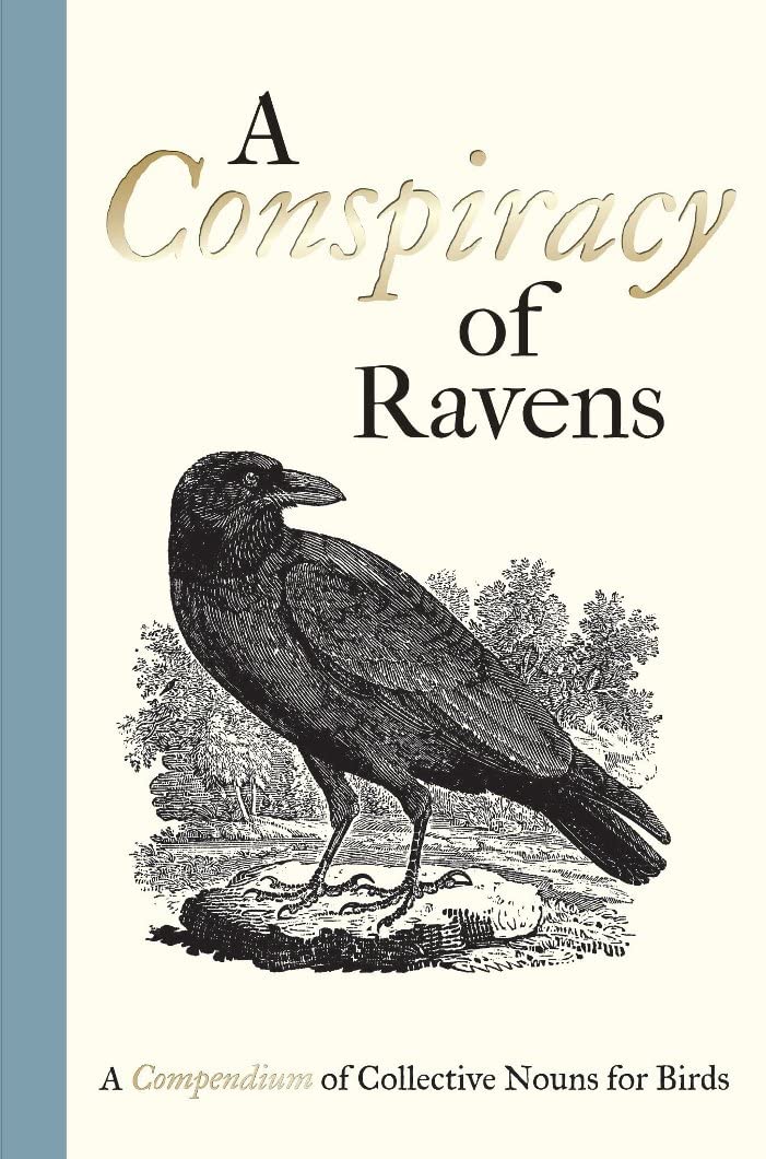 A Conspiracy of Ravens : A Compendium of Collective Nouns for Birds