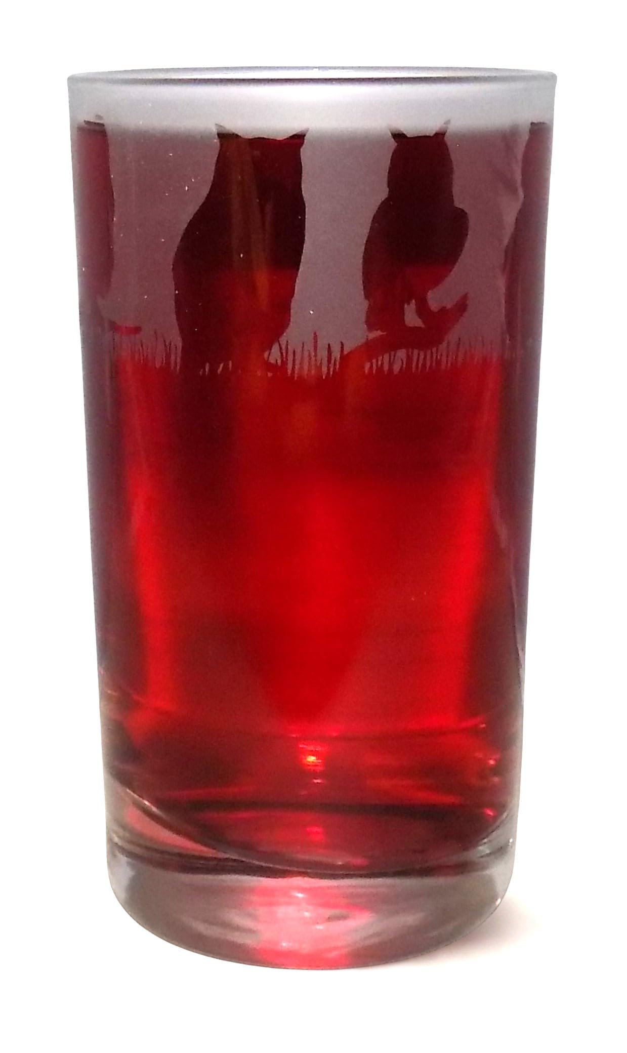 OWL Hand Etched Highball Tumbler — image 1