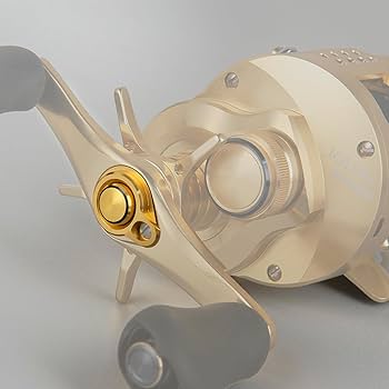 Amazon | 21 カルカッタコンクエスト 100 100HG 200 200HG