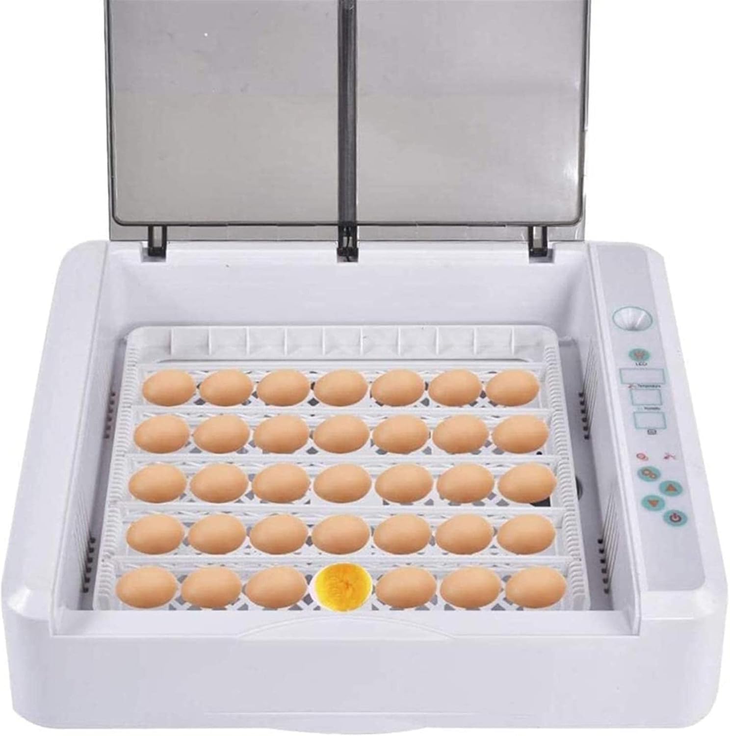 NIVOK Egg Incubator 36 Digital Hatcher Temperature Control