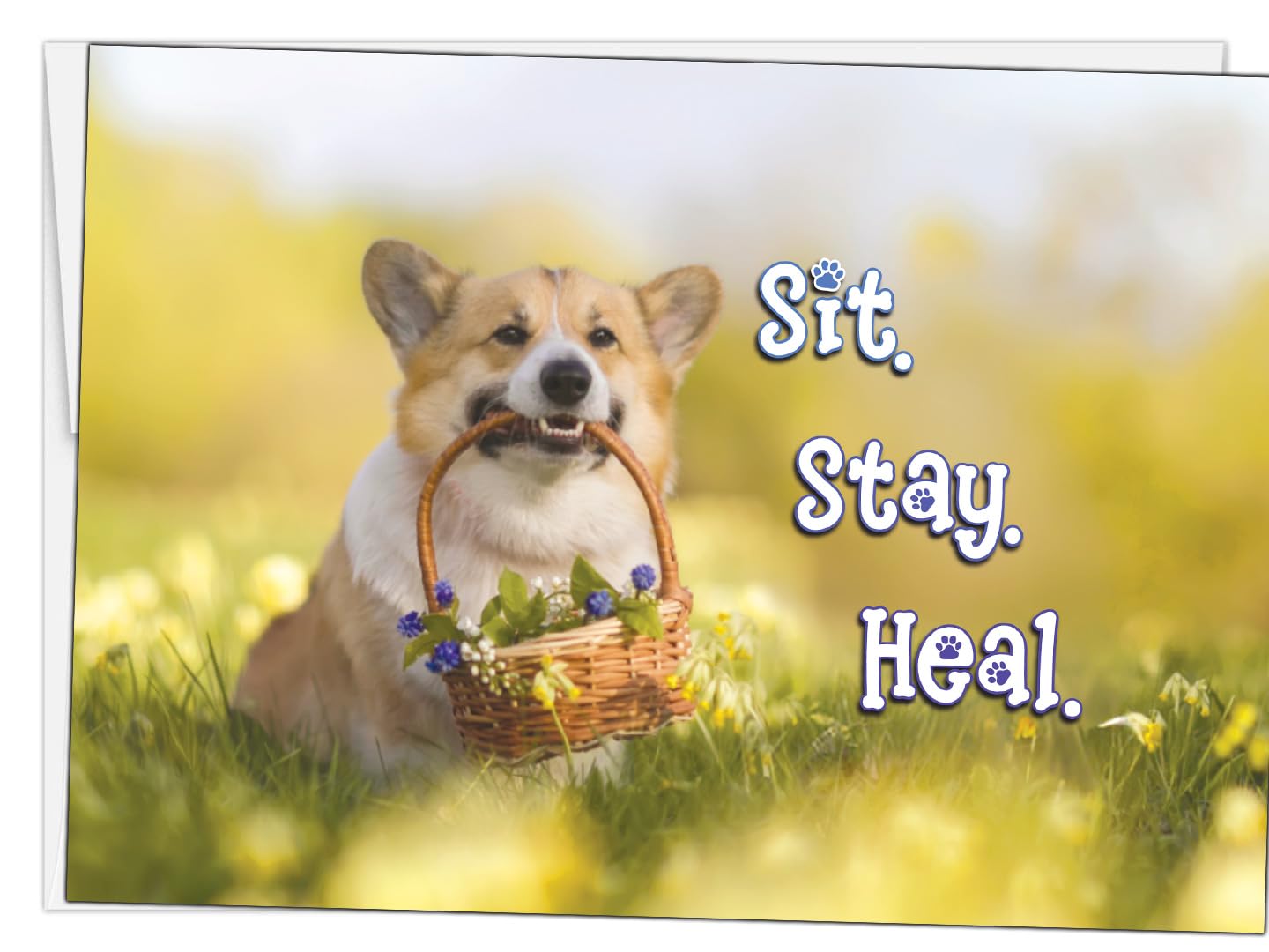 Glory To Dog Sit. Stay. Heal. Corgi Flower Basket Funny Get Well Card