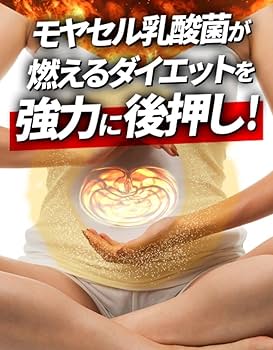Amazon | モヤセル乳酸菌 60粒30日 2粒に乳酸菌100億個 生きて腸