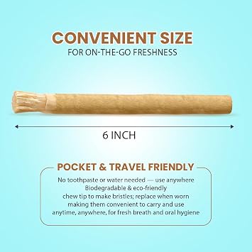 Natural Toothbrush Miswak with 5 Pack and Miswak Holder - Premium Quality, Organic, Triple Wash, Plain Packaging