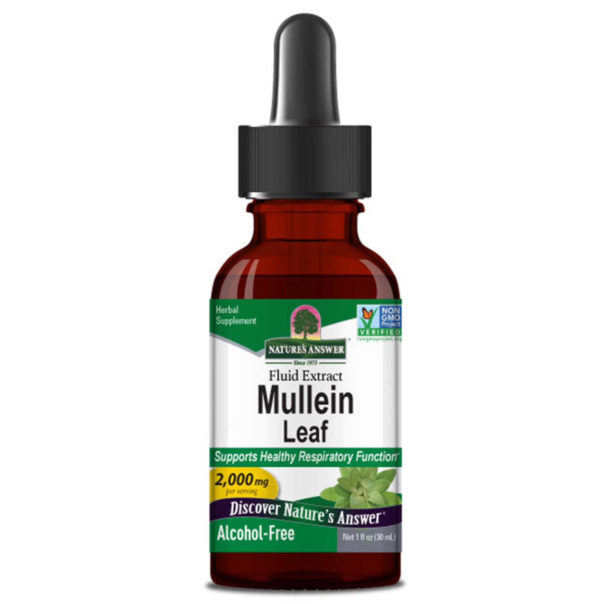 Nature's Answer, Mullein Leaf Extract, 30ml, 2000mg Kleinblütiges Königkerzenblatt-Extrakt je Dosis, Geschmacksneutral, Vegan, Glutenfrei, Sojafrei, GMO frei