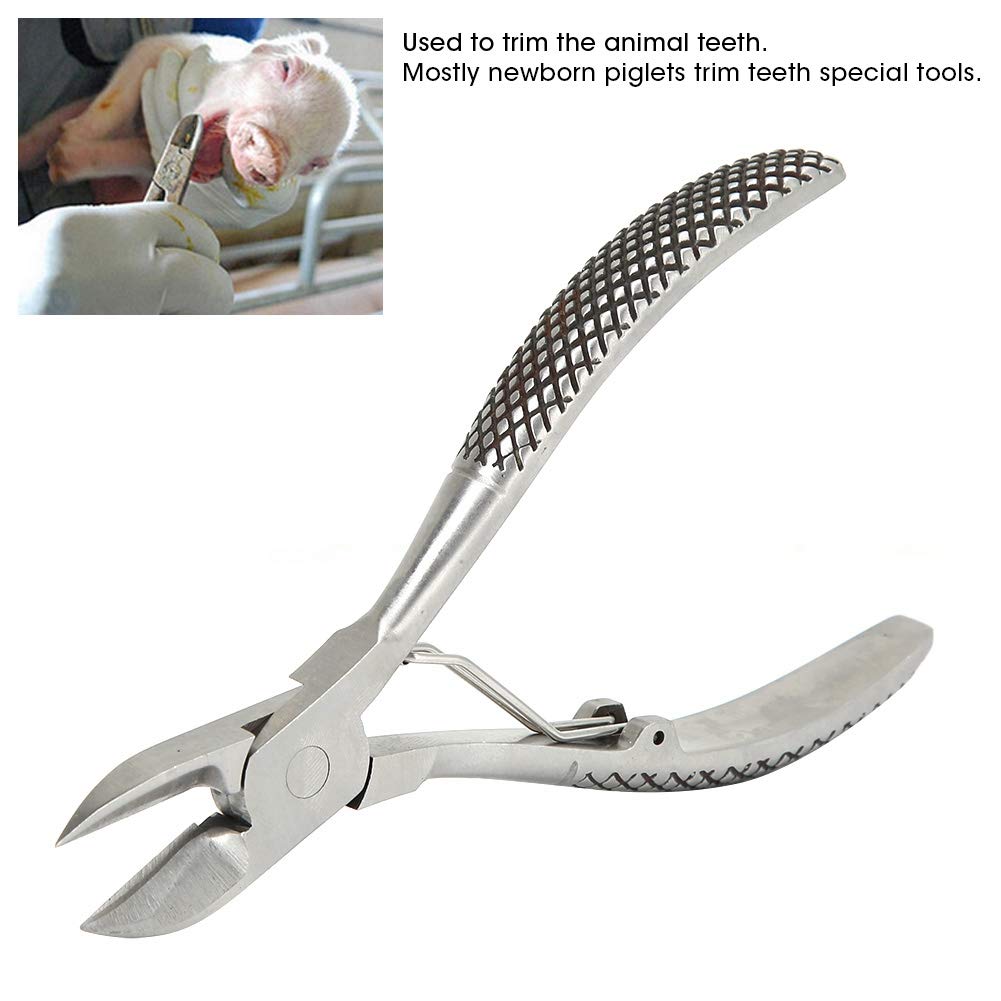 flexman Stainless Steel Pig Tooth Nipper, Ball Spring Tooth Pliers Scissors with Spare Spring, Pig Tooth Cutter Scissor for Livestock