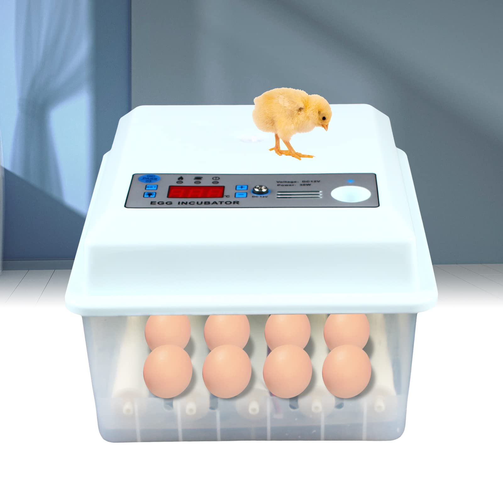 Incubatrice automatica per uova, incubatrice, pollame, incubatrice, 16 uova, adatta per la cottura di uova di pollo domestico, anatre e uova d'oca