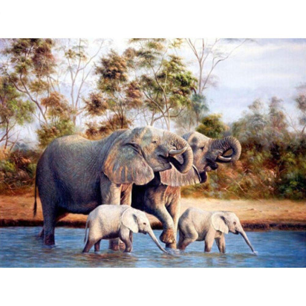 Broderie diamant 5D éléphant de l'eau en kit complet mosaïque ronde pour décoration murale 30x40cm