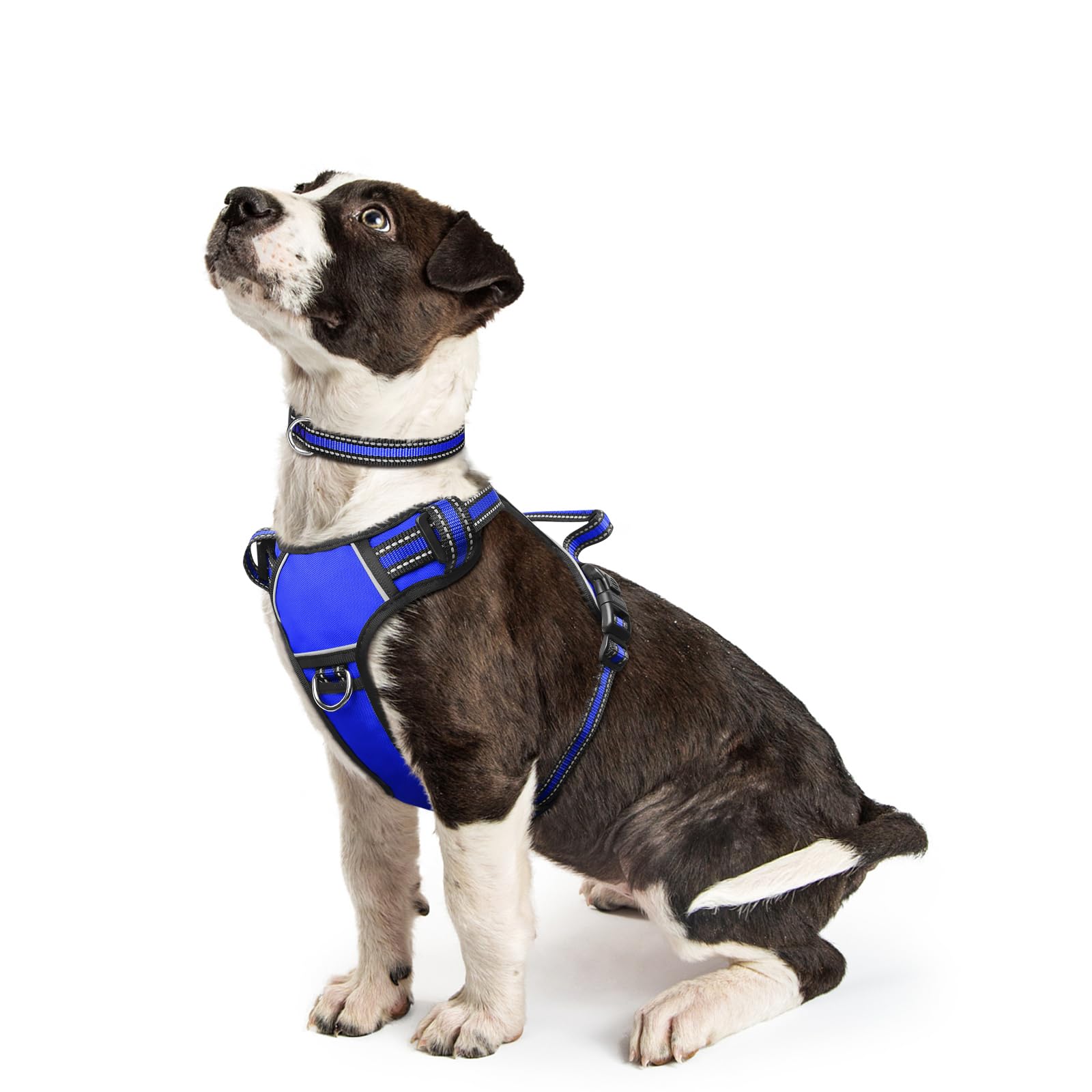 WINSEE Dog Harness No Pull, Pet Harnesses with Dog Collar, Adjustable Reflective Oxford Outdoor Vest, Front/Back Leash Clips for Small, Medium, Large, Extra Large Dogs, Easy Control Handle for Walking