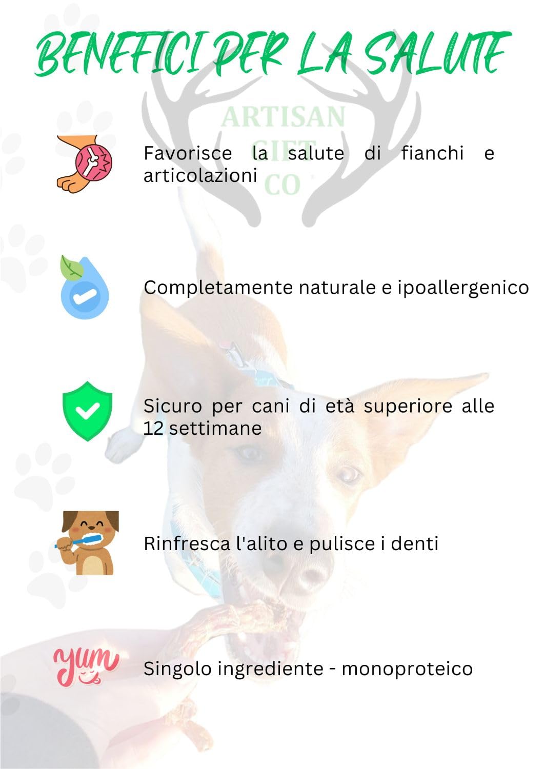 Collo di Anatra per Cani, 1 kg | Snack Naturale Essicato per Cani e Cuccioli