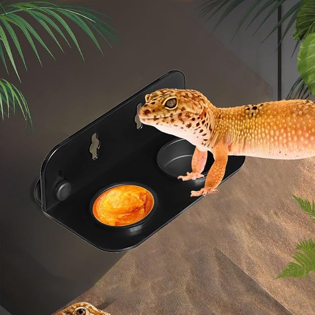 Foto 7 de 7 de DONGKER Repisa magnética de alimentación de gecko