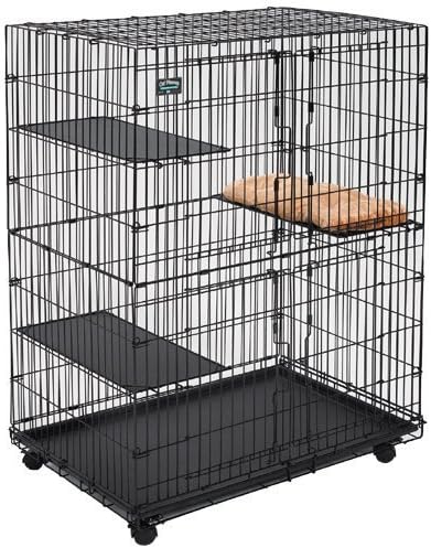 cat playpen amazon